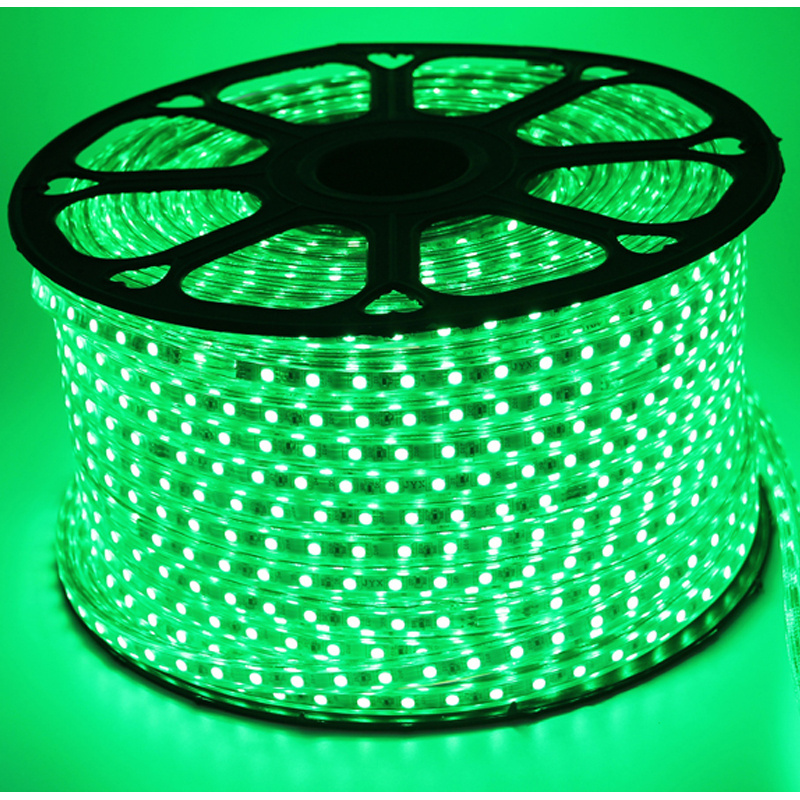 AC220V Waterproof Flexible SMD 5050 color changing LED Strip Light rgb smart strip lights