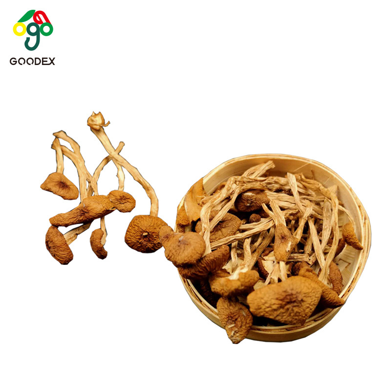 China manufacture edible organic dried agrocybe cylindracea tea tree mushroom