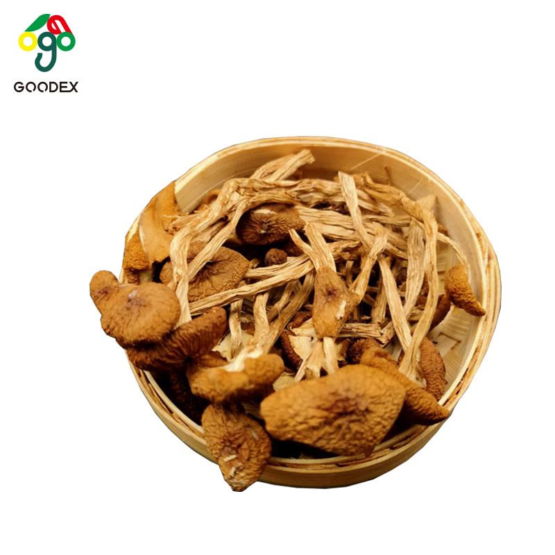 China manufacture edible organic dried agrocybe cylindracea tea tree mushroom