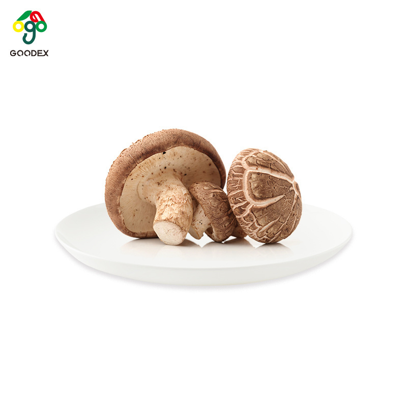 Good quality various size dried  white flower mushroom white flower dried shiitake