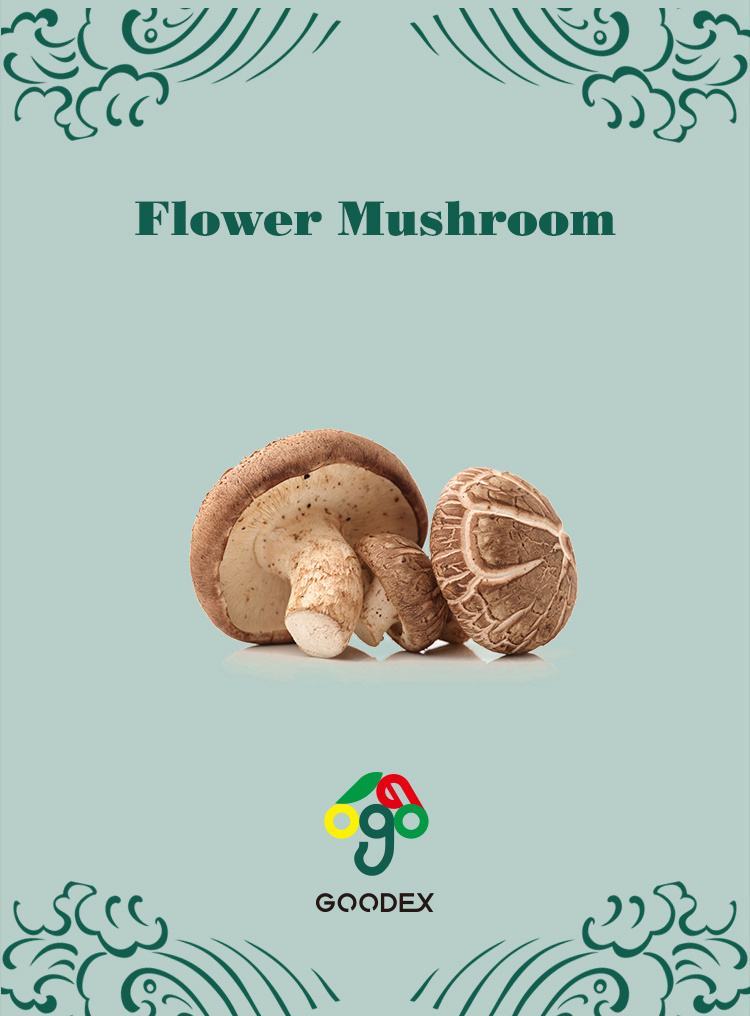 Dried  Flower mushroom 3-4cm, 4-5cm, 5-6cm / Flower Shiitake Mushroom