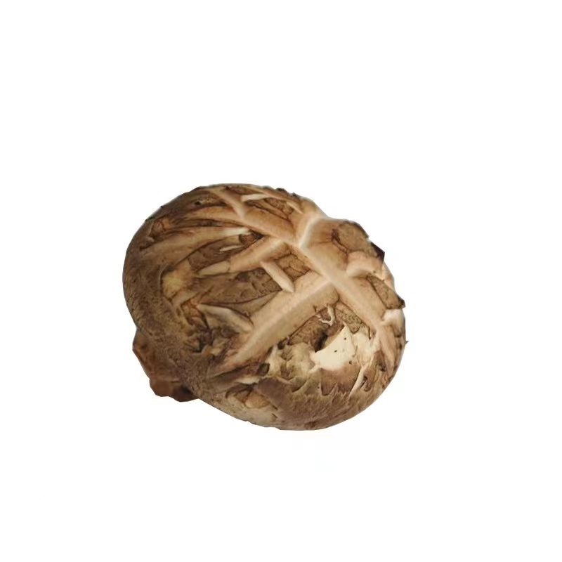 Dried  Flower mushroom 3-4cm, 4-5cm, 5-6cm / Flower Shiitake Mushroom