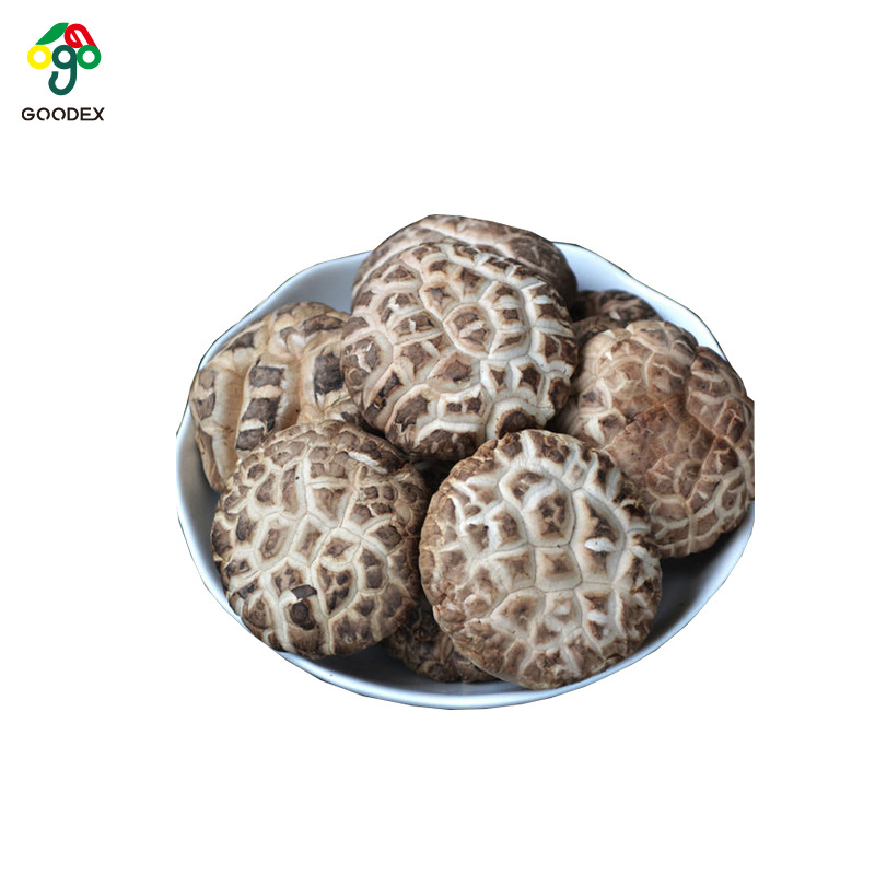 Good quality various size dried  white flower mushroom white flower dried shiitake