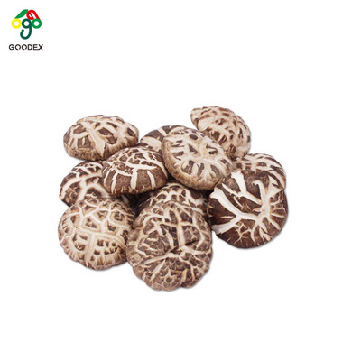 Good quality various size dried  white flower mushroom white flower dried shiitake