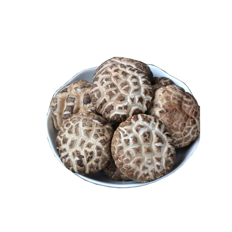 Dried  Flower mushroom 3-4cm, 4-5cm, 5-6cm / Flower Shiitake Mushroom