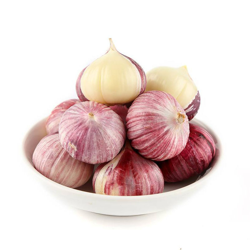 Fresh Chinese solo garlic