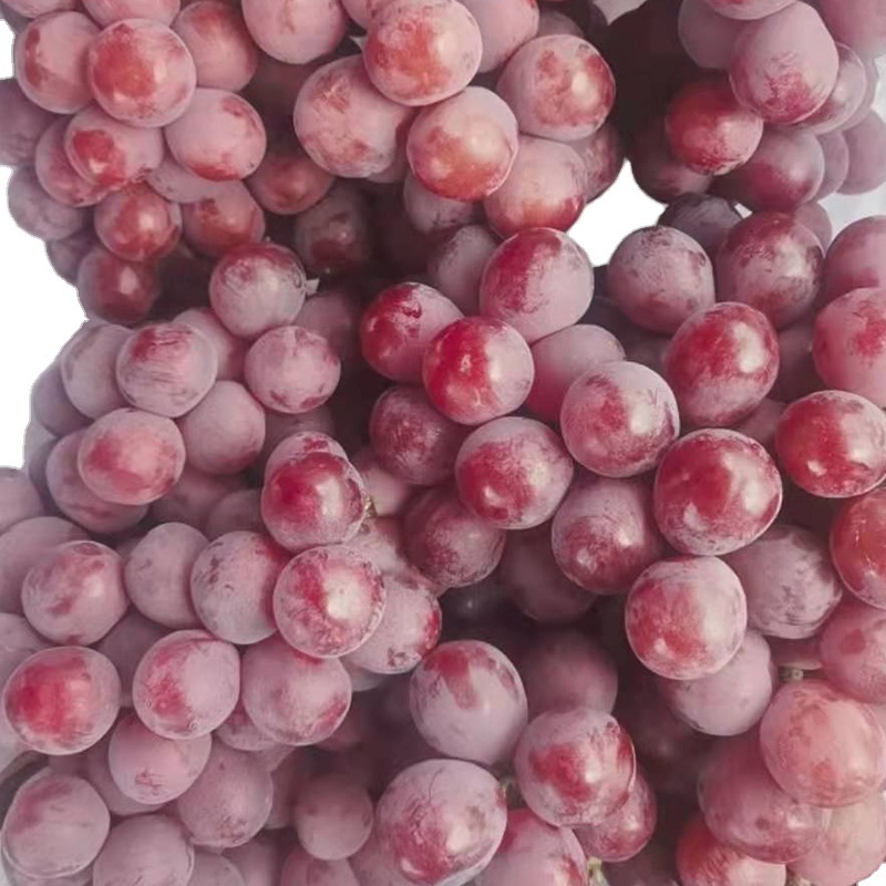 seasonal Sweet Egypt High Quality Natural Ftresh Grapes Fruit