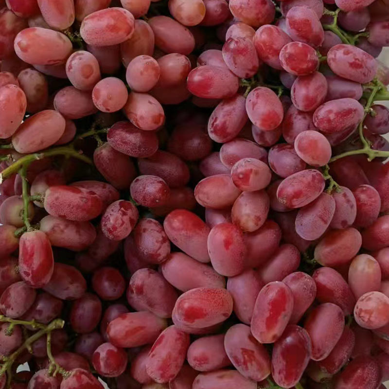 Best Quality 2023 New Fresh Green Grapes Crimson Seedless Grape Fresh Fruit