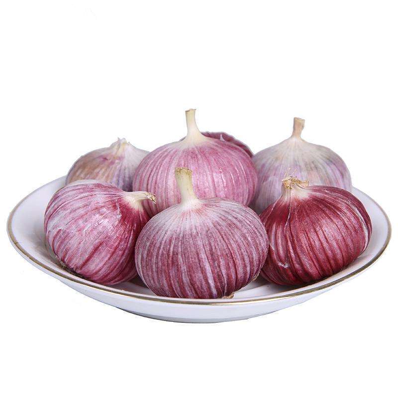 China fresh organic solo garlic hot sale