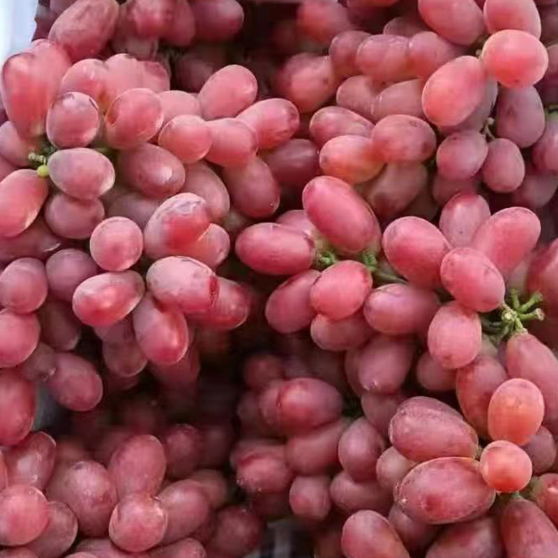 Best Quality 2023 New Fresh Green Grapes Crimson Seedless Grape Fresh Fruit