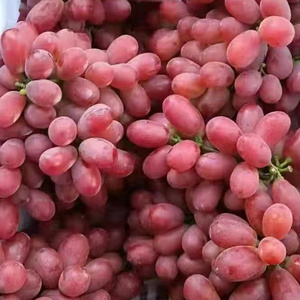 Best Quality 2023 New Fresh Green Grapes Crimson Seedless Grape Fresh Fruit