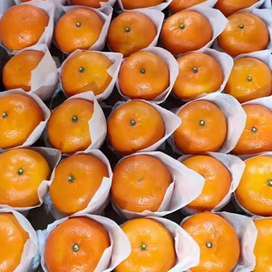 Hot Selling Fresh Fruit FreshWokan Mandarin Orange price