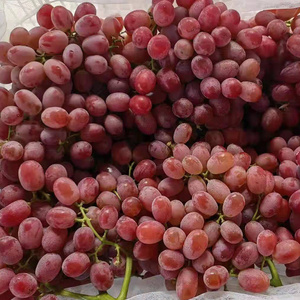 good farm fresh fruit grape on sale sweet red grape seeded crimson   grape