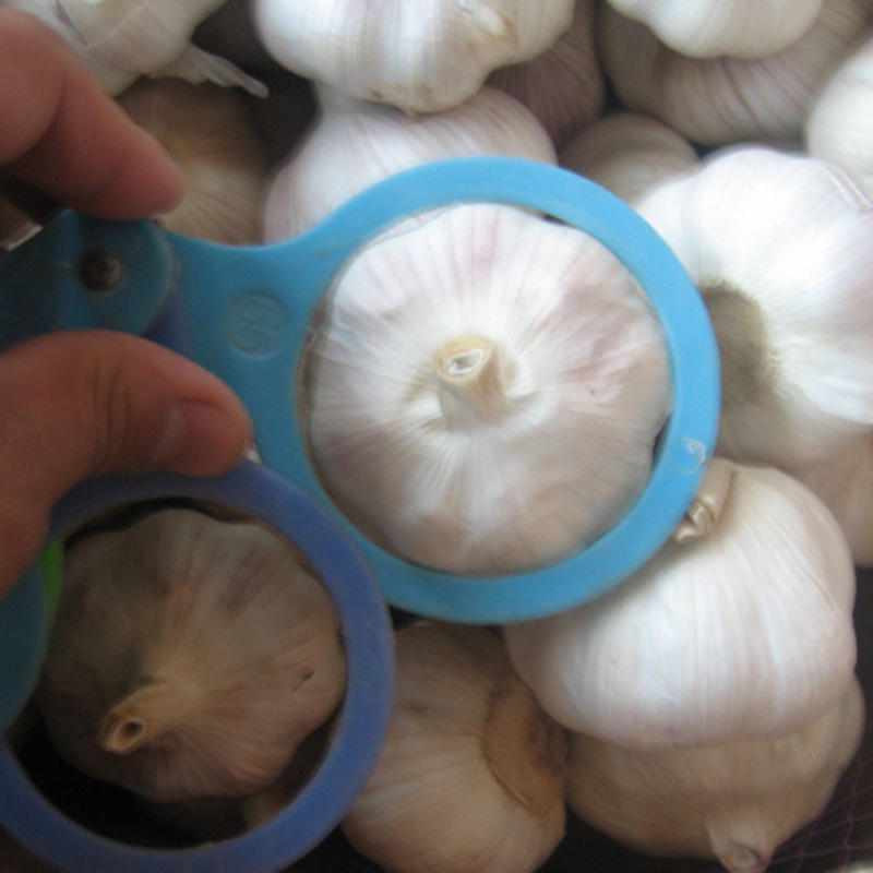 Precio De Ajo Por Tonelada Ajo Chino China Garlic Normal Raw Pure Garlic