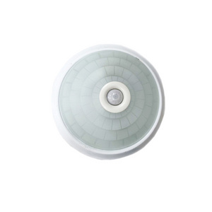 LED PIR motion sensor Ceiling light