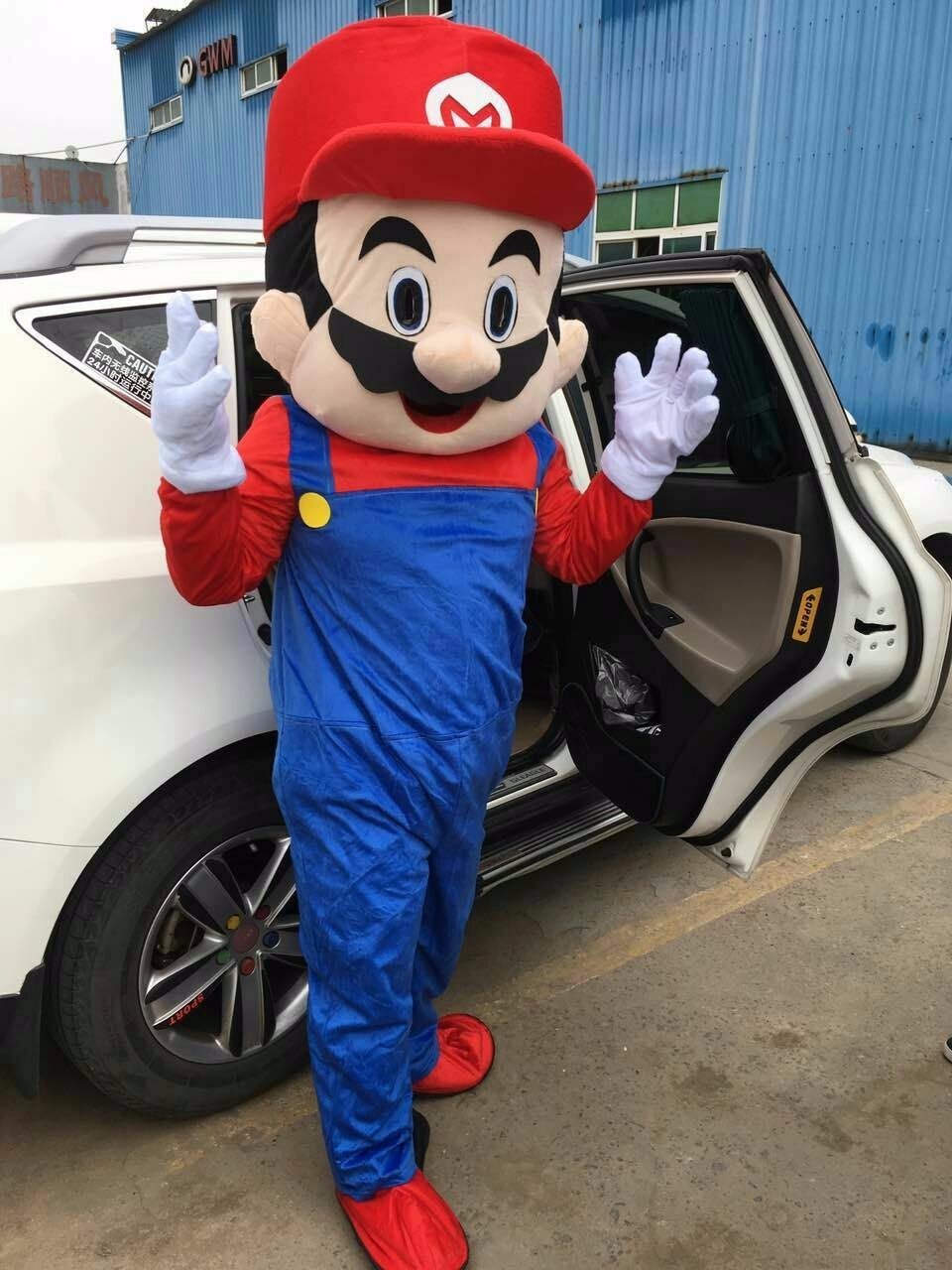 Adult Super hero Mascot Fantasias Mascotes Costumes Mascot Manufacturers mario bros costume