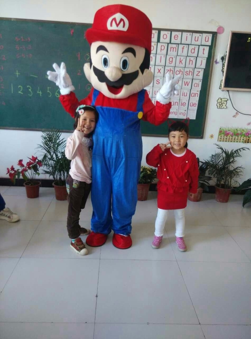 factory cost funny and cheaper mario and luigi mascot costume