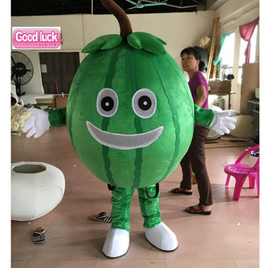 Water Melon Fancy Dress Cartoon Character Party Outfit Fursuit Green Fruit Mascot Costume Unisex Plant 3 Years Animals & Bugs