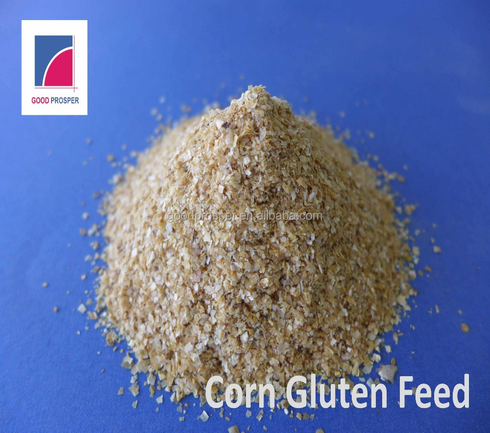 dry style yellow corn gluten feed 18% protein bulk price