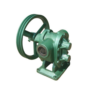 BP Belt Pulley Driven Stainless Steel Diesel Engine(motor) Gear Pump/ External Oil Rotary Gear Pump