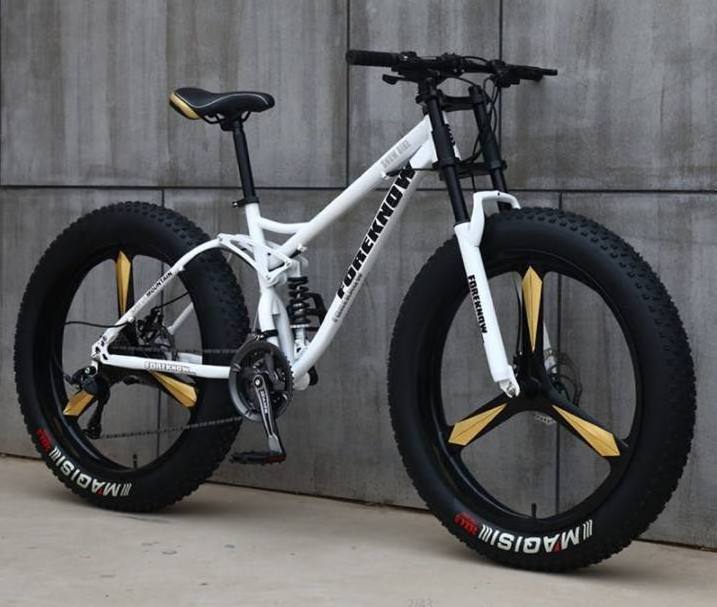 2024 factory price electric fat bike hybrid bicycle for men