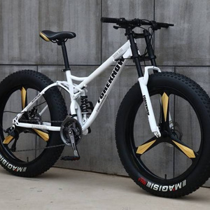 2024 factory price electric fat bike hybrid bicycle for men