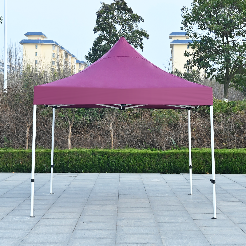 Custom Printed 3M 10X10 Advertising Promotion Garden Tent Gazebo Outdoor