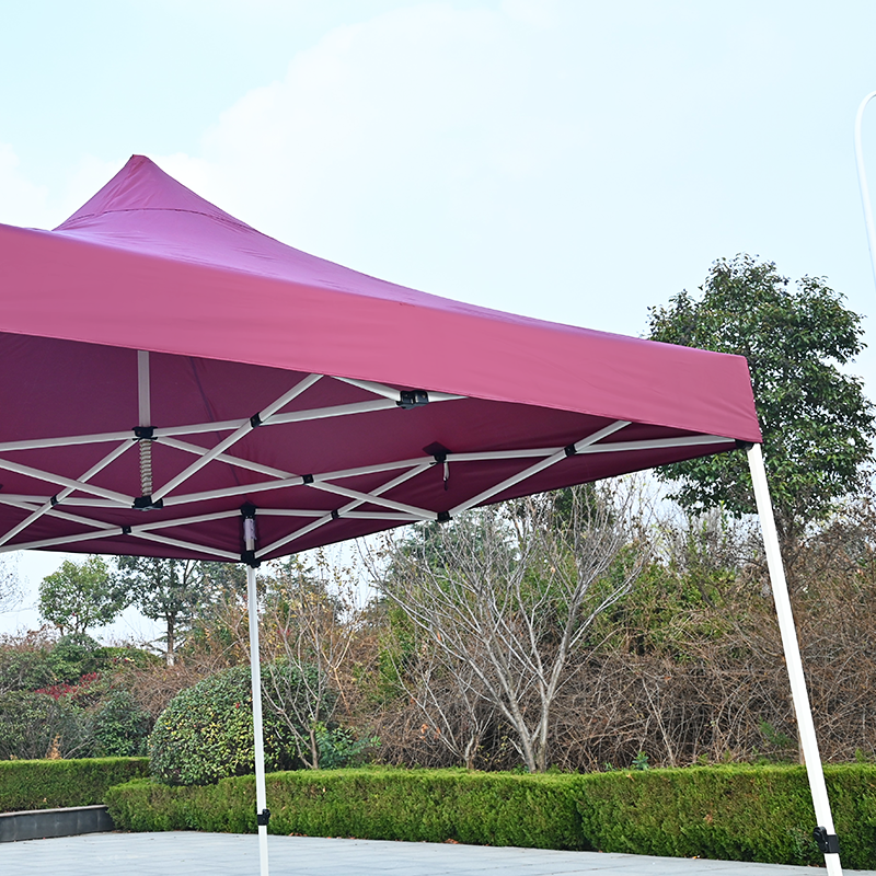 Custom Printed 3M 10X10 Advertising Promotion Garden Tent Gazebo Outdoor