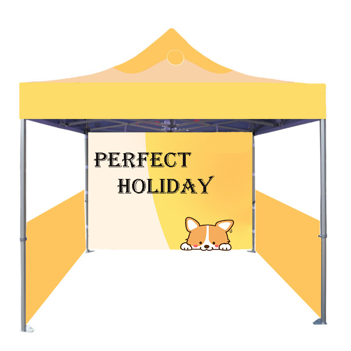 High Quality Custom Fireproof Pvc 10x10 Pop Up Canopy Tent Canopy Awning Tent Replacement With Side Wall