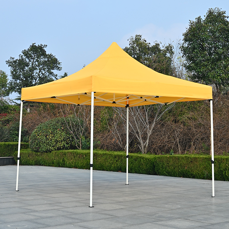 Portable Folding 3X3 Exhibition Events Canopy 10X10 Gazebo Tent With Print