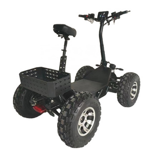 Hot Selling 4 Wheel Off Road Electric Scooter Sport ATV for Sale