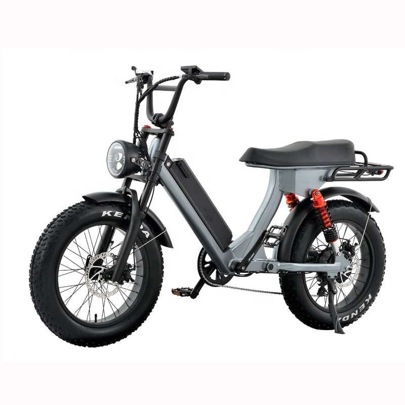 Powerful Electric Bicycle 48V 500W 750W Brushless Motor  Electric Bike Mountain E Bike Folding for Sale