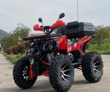 300cc Four Strokes Powerful Dirt ATV Scooter Dirt and Pit Gasoline Cheap UTV