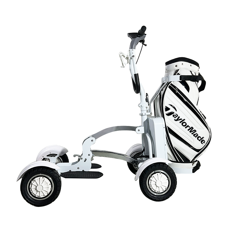 New Design Electric Golf Scooter Self-Balancing Golf Cart For Sightseeing Vehicle