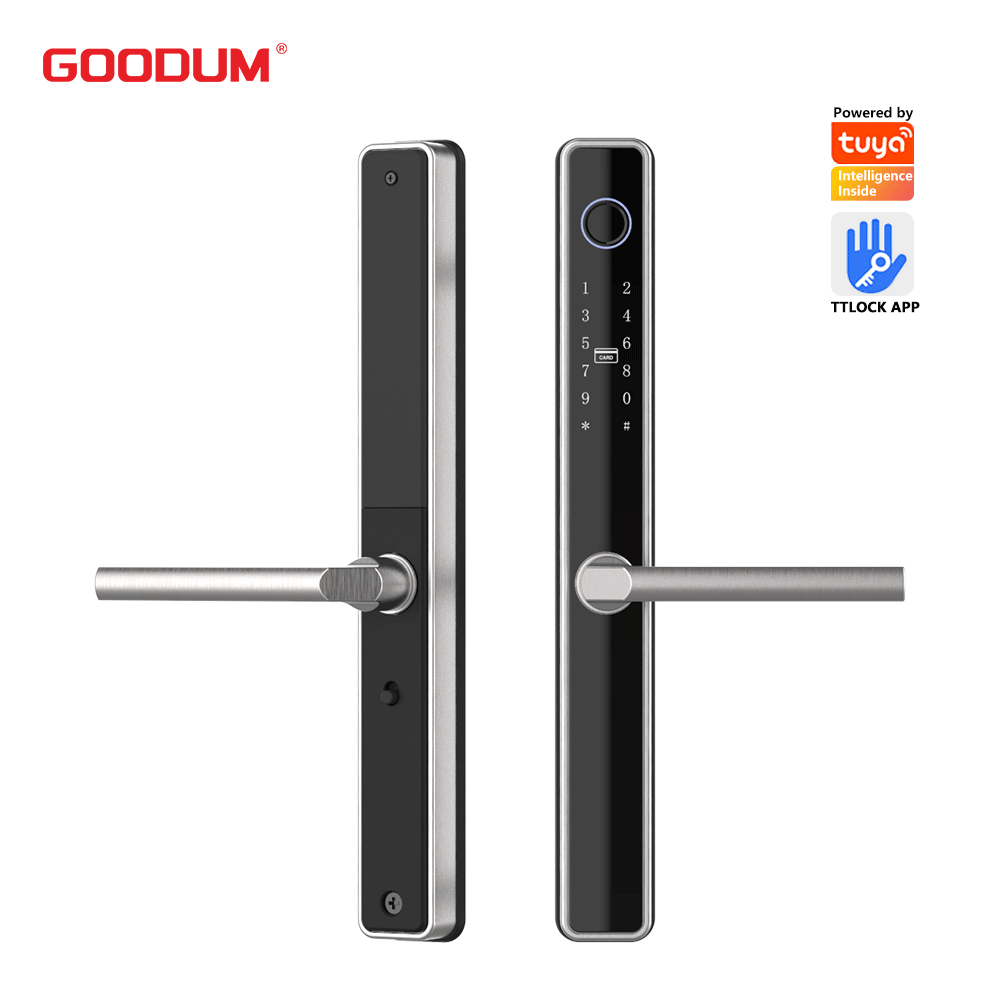 GOODUM brand modern style fingerprint locks C-level safety lock Tuya Aluminum frame door locks