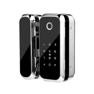 GOODUM Door Locks Brand Card Fingerprint Tt or Tuya Glass Wifi D3 Aluminum Alloy Cloud Electronic Magnetic Lock for Glass Doors