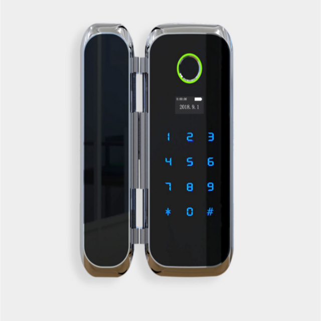 GOODUM Door Locks Brand Card Fingerprint Tt or Tuya Glass Wifi D3 Aluminum Alloy Cloud Electronic Magnetic Lock for Glass Doors