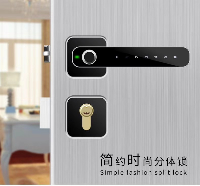 New Europe indoor lock mobile app with fingerprint password goodum lock E32 data enter home work