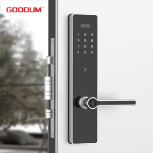 Goodum Smart Biometric Key Lock Fingerprint Digit Padlock Mortise Lock for Wood Aluminum Doors Secure Room Lock Cyli Deadbolt