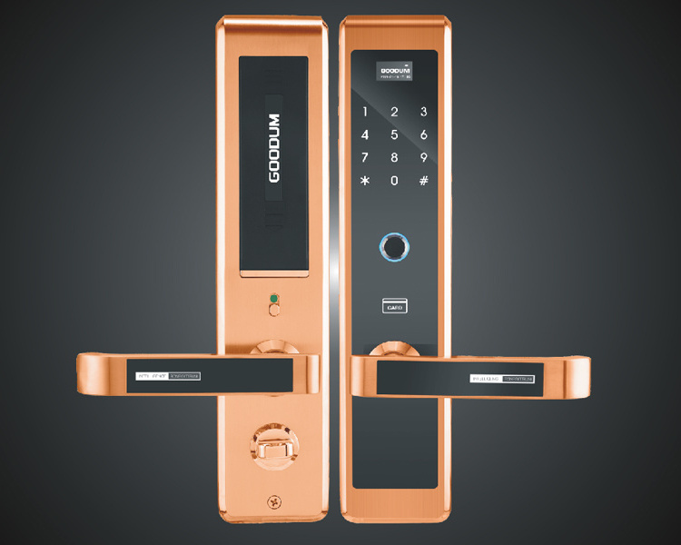 2019 new product intelligent smart fingerprint app system remote control security door lock