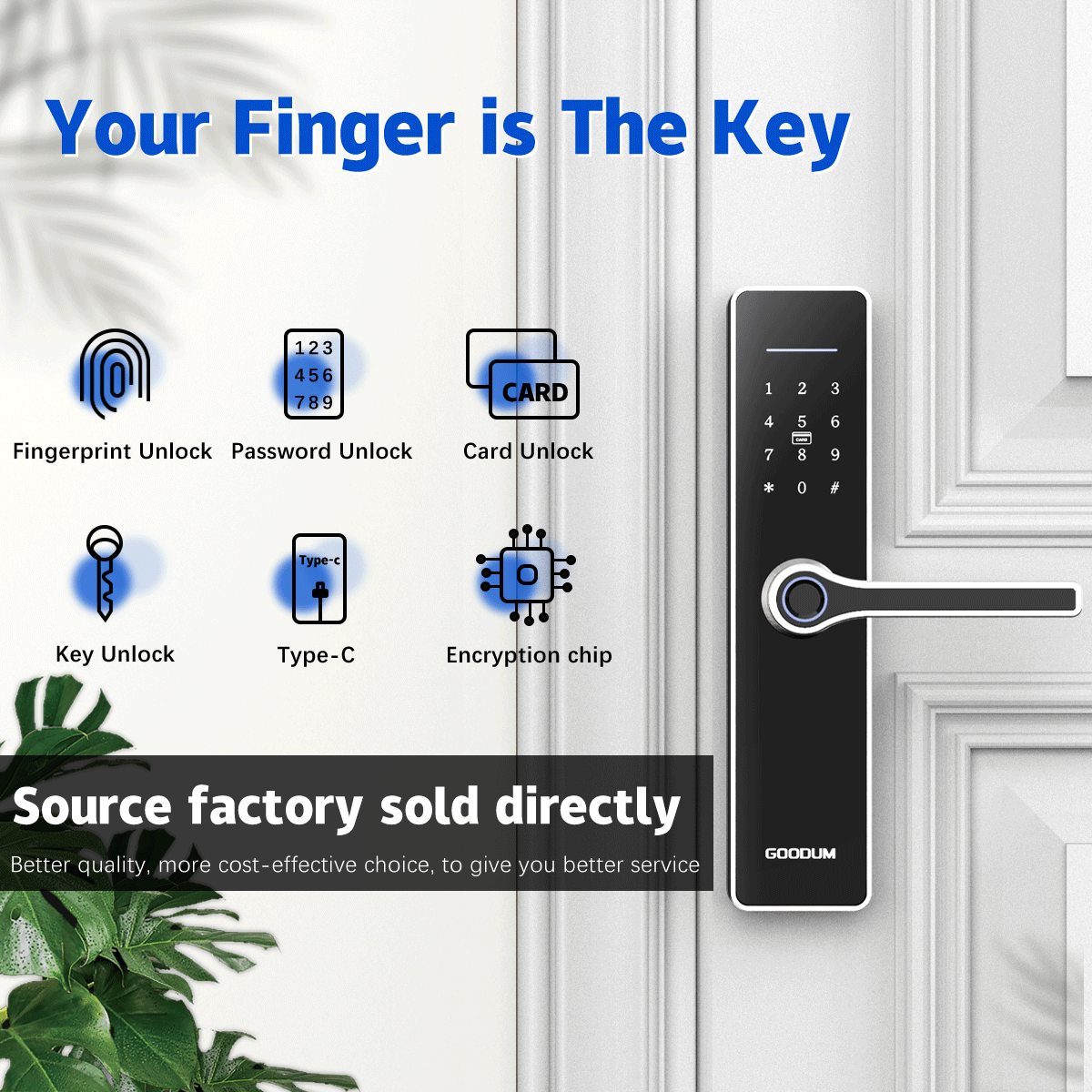 Goodum Keyless Digital Padlock Electric Deadbolt Lock for Wood Door Bathroom Smart Gate Automatic Anti-Theft Front Door Lock