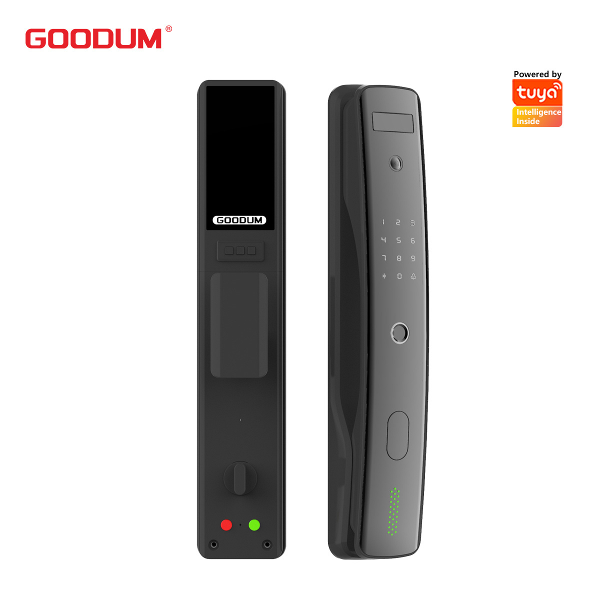 Goodum 2023 cheap 3d face recognition unlock recognition smart door lock waterproof tuya with camera