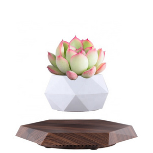 Ceramic Planters Indoor Plants with Drainage Hole Relief Ice Cracked Glaze Ceramic Magnetic Levitating Flower Pot