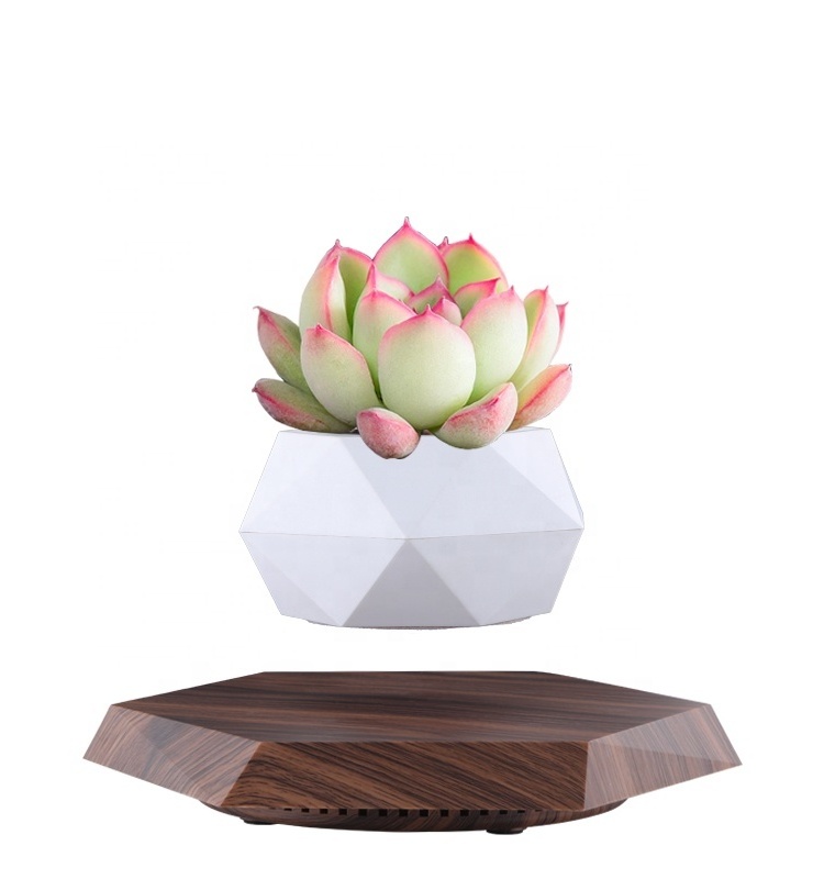 Hot Sale Home Wedding Party Hotel Decor Artificial Real Touch Moth Butterfly Orchid Flower Magnetic Levitation Bonsai