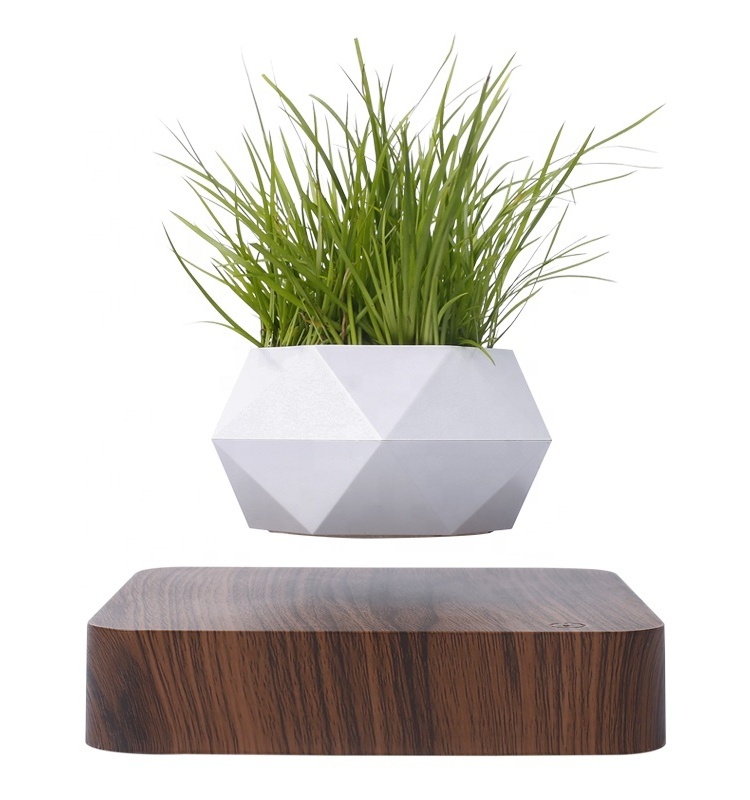 Interior small bulk cheap flower for sale with wooden stand rack ceramic pot for plants