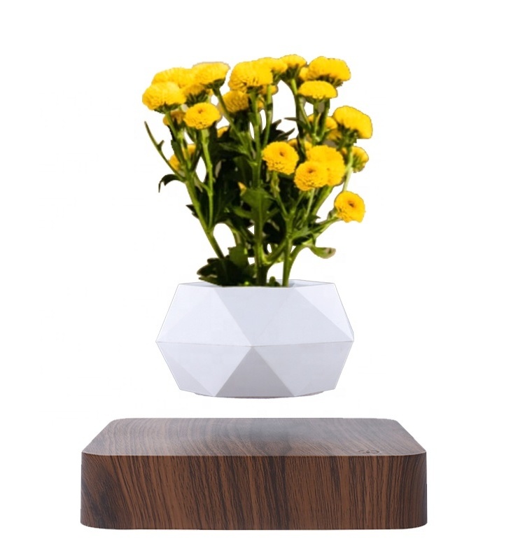 Interior small bulk cheap flower for sale with wooden stand rack ceramic pot for plants