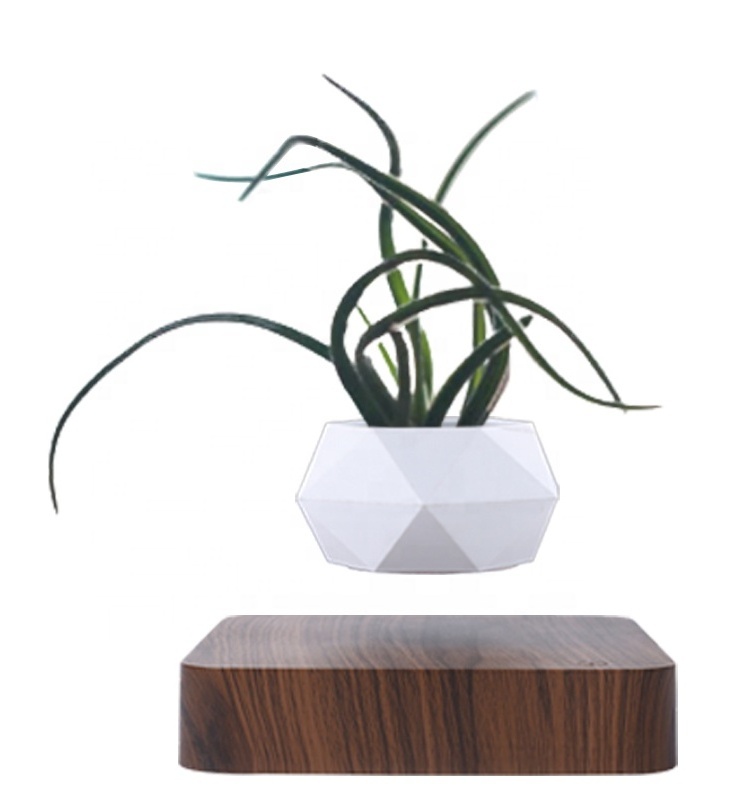 Interior small bulk cheap flower for sale with wooden stand rack ceramic pot for plants