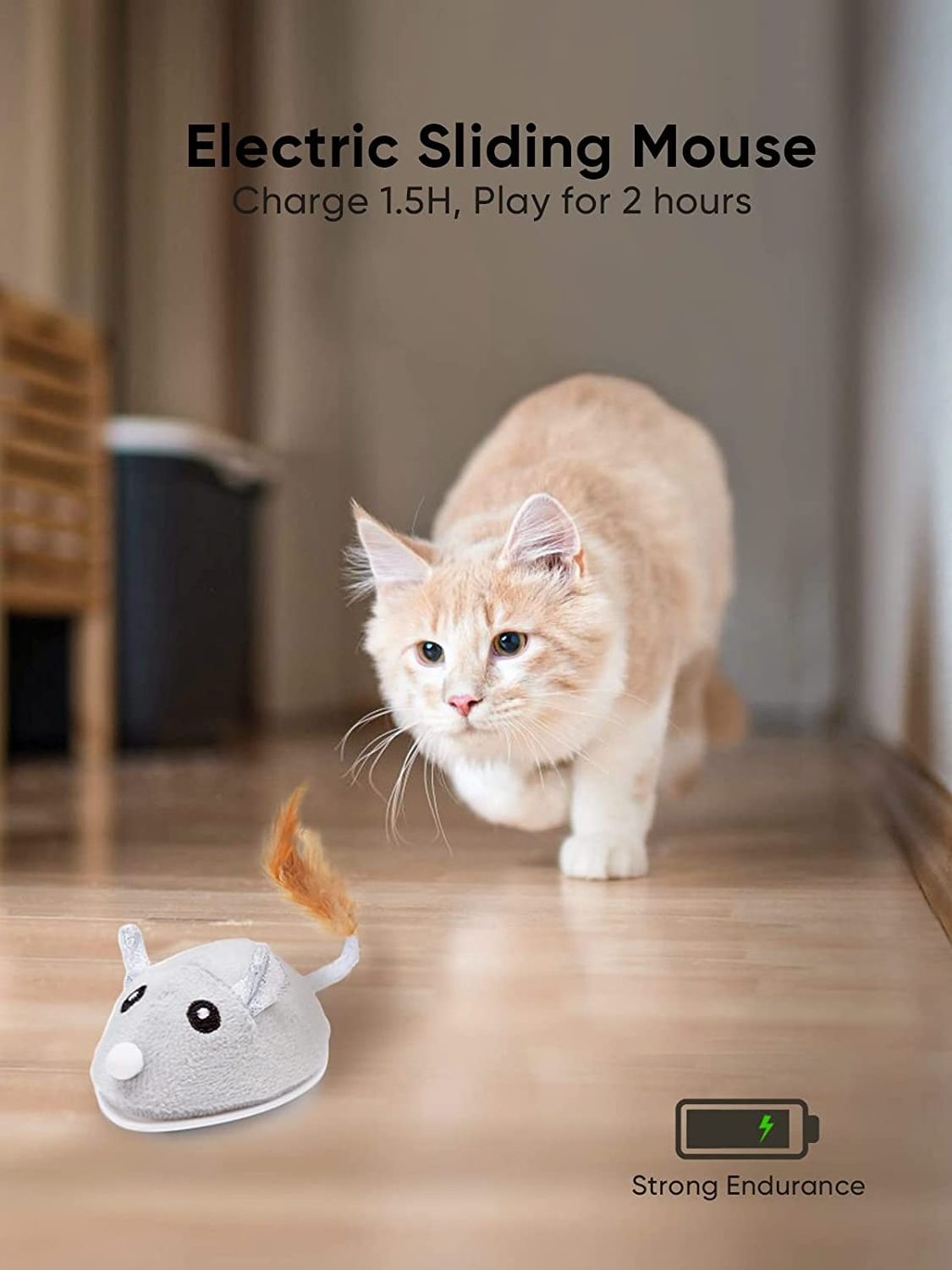 Petchain Cat Toys for Indoor Automatic Cat Mouse Toy with Feather Tail Kitty Toys with USB Charging