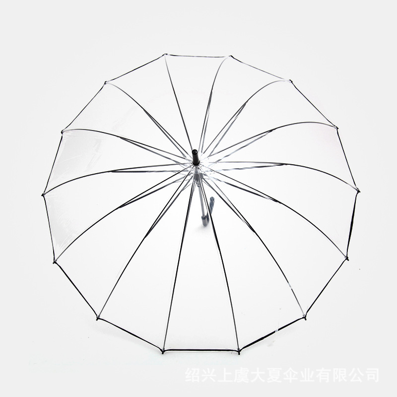 ebay best seller foldable high quality automatic vinyl transparent clear umbrella bubble umbrella ombrello