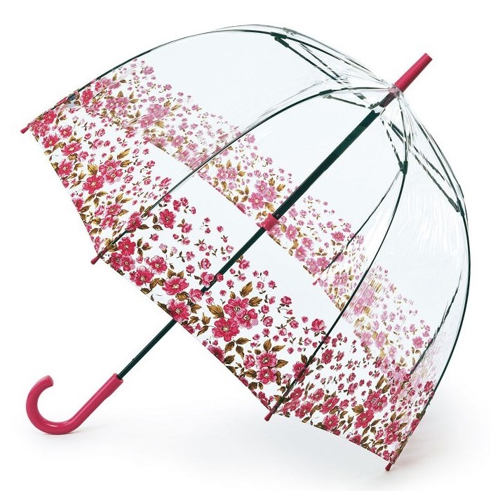 Fantastic umbrella fashion Ms Straight Transparent Dome umbrella Princess umbrella